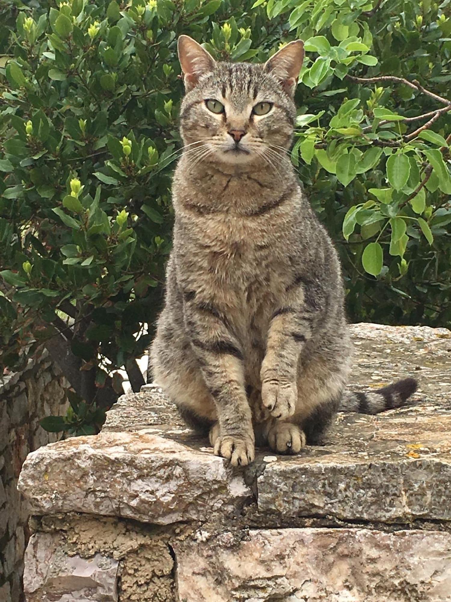 Kythira Island Retreat Dom wakacyjny